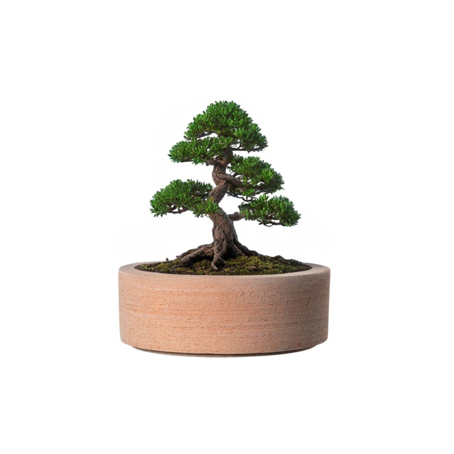 Maceta Luna Baja 26cm Terracota