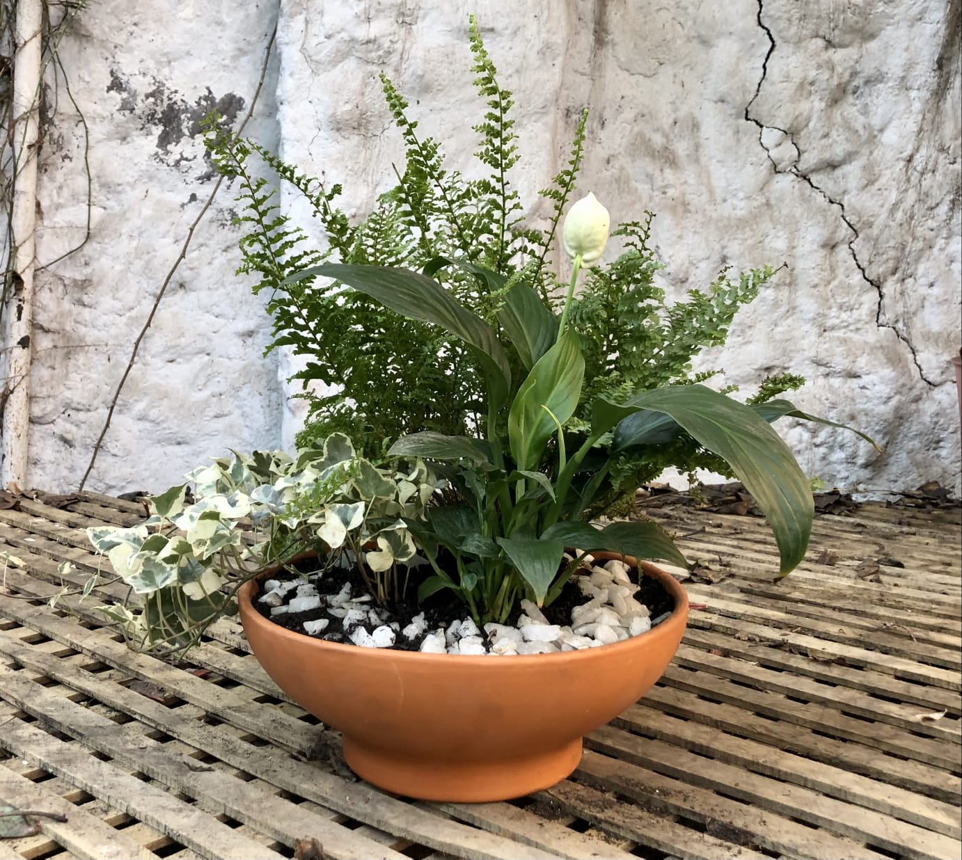 Centro de Mesa Esmaltado Verde Apio