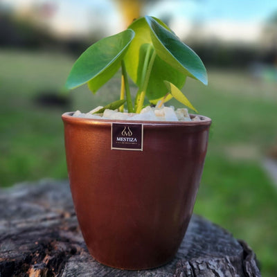 Cucharita Macetero Zafiro 14cm Cobre