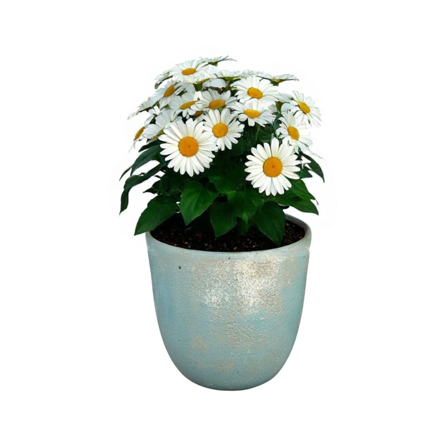 Macetero Cyclades Verde Lutecio