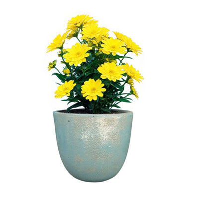 Macetero Cyclades Verde Lutecio