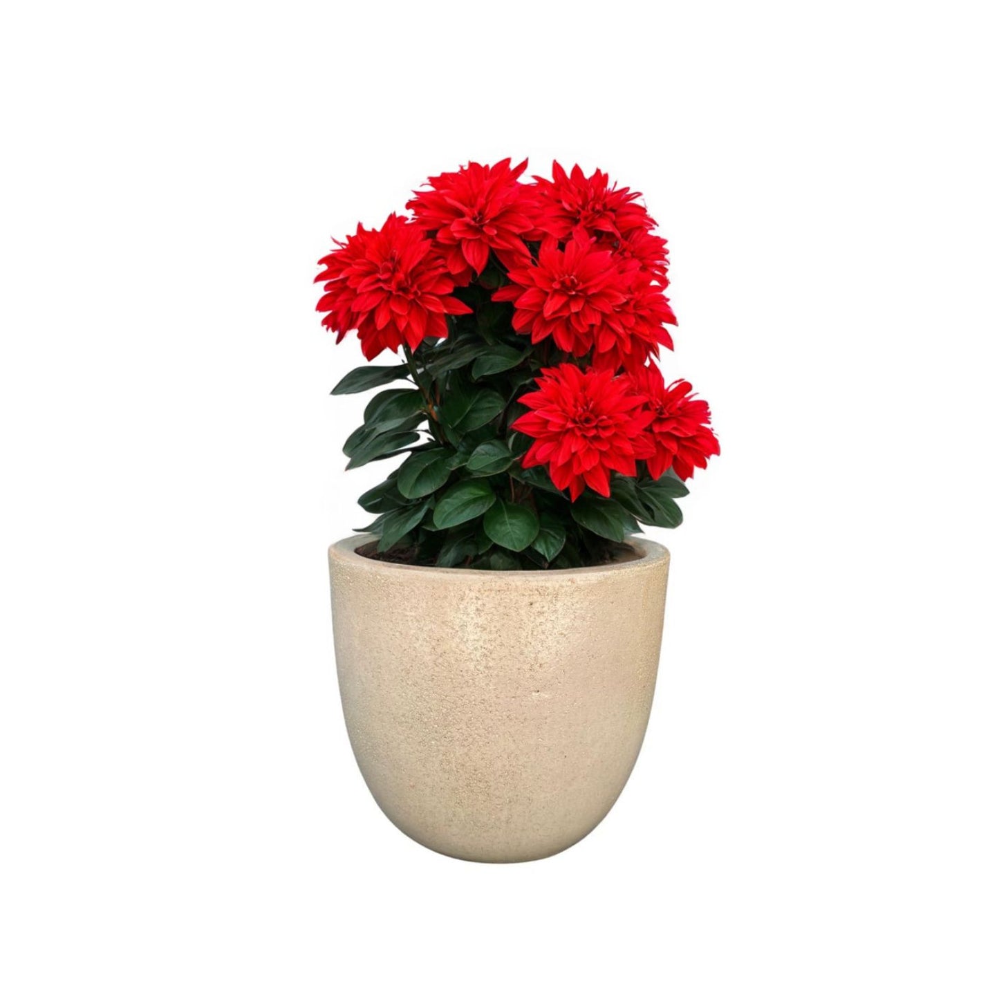 Macetero Cyclades Blanco Itrio