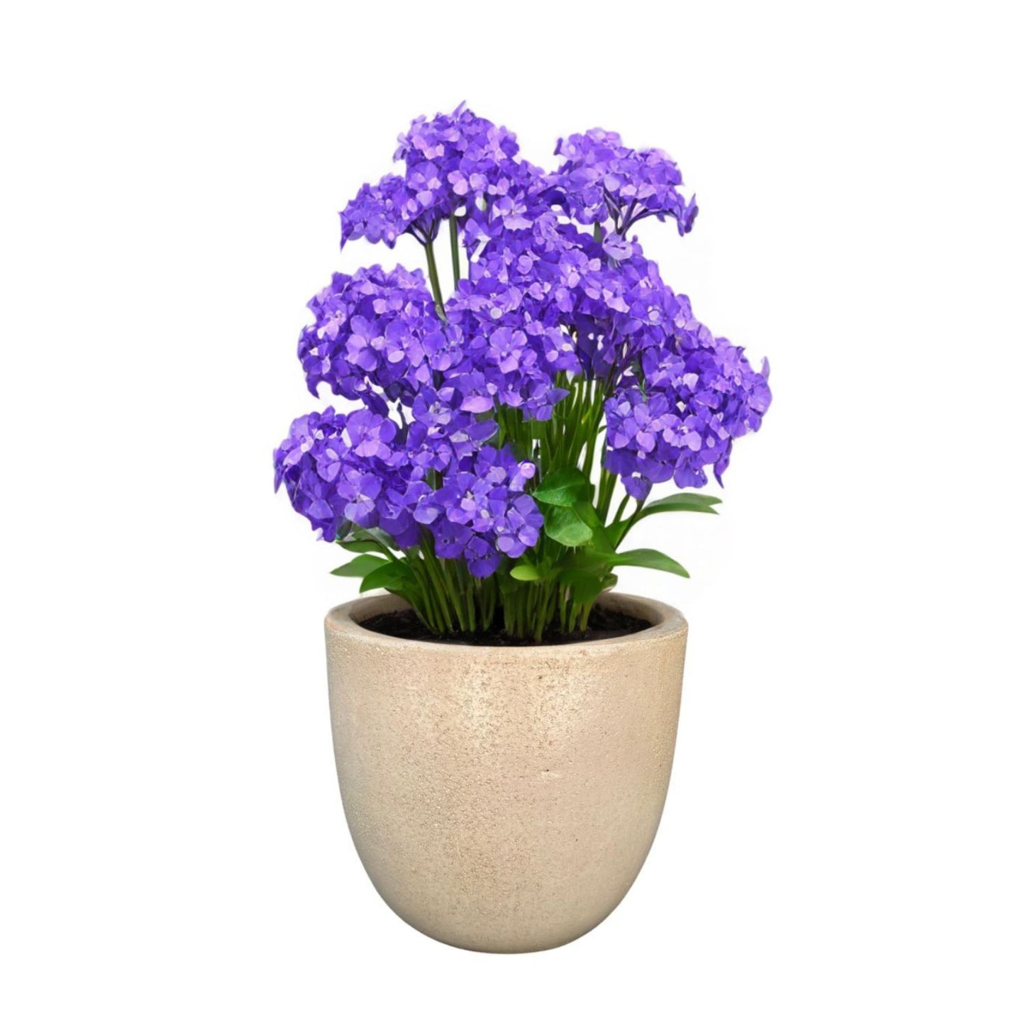 Macetero Cyclades Blanco Itrio