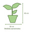 Ficus Lyrata Macetero Zaia 20cm Texturado Verde Agua