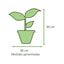 Ficus Benjamina Mixto Macetero Zafiro 24cm Negro Reactivo