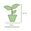 Gomero Tineke Macetero Kony 19cm Blanco