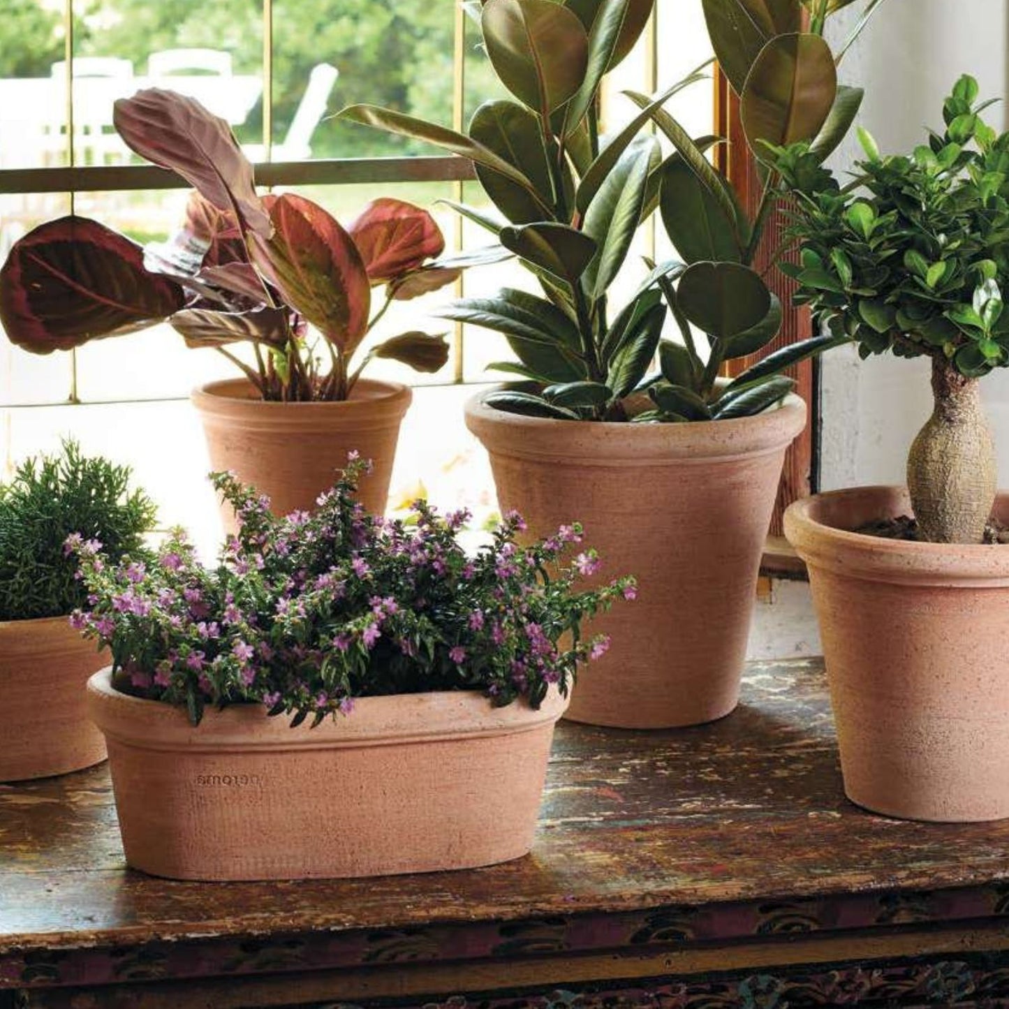 Jardinera Etrusca con Plato 35cm Ovalada Terracota