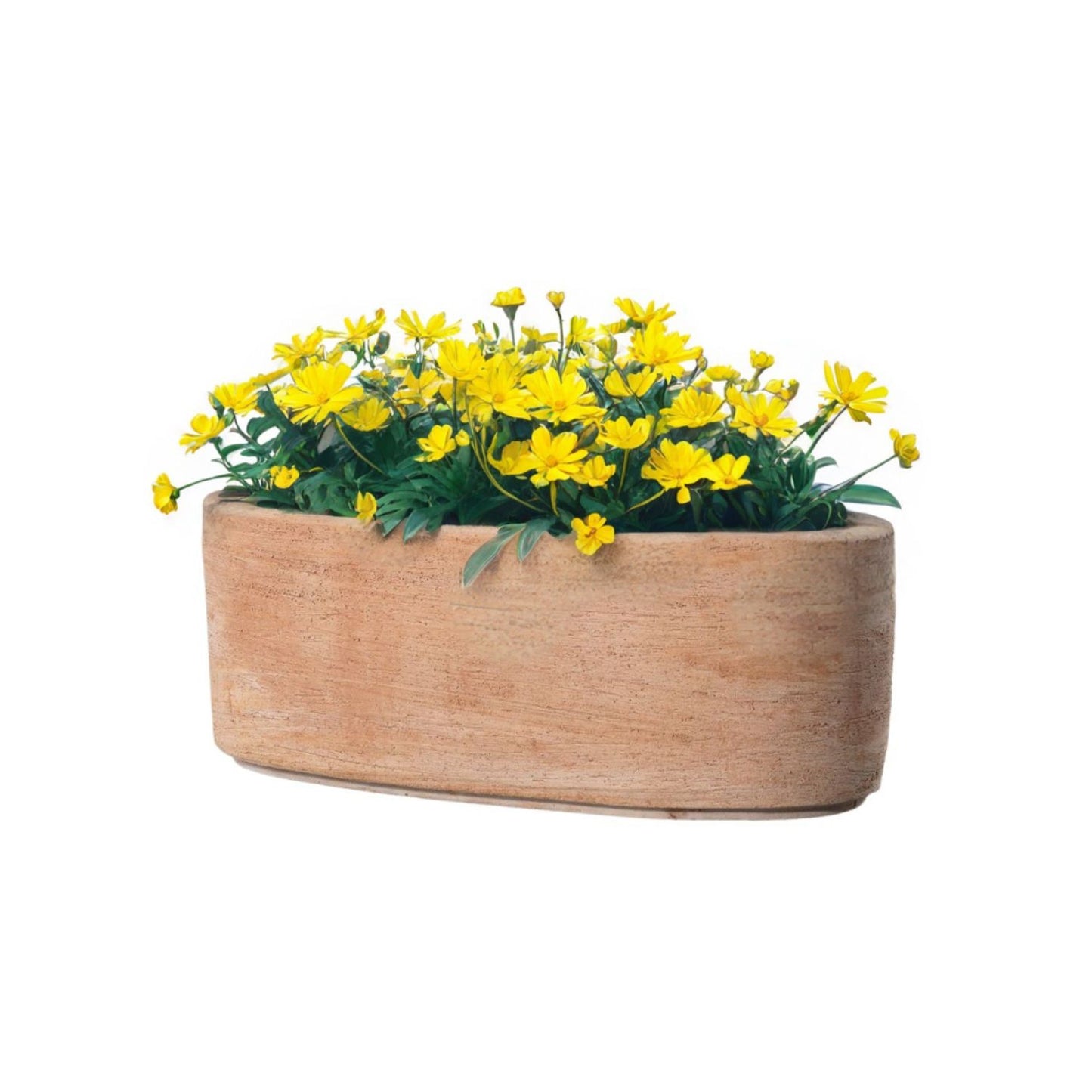 Jardinera Luna 33cm Ovalada Terracota
