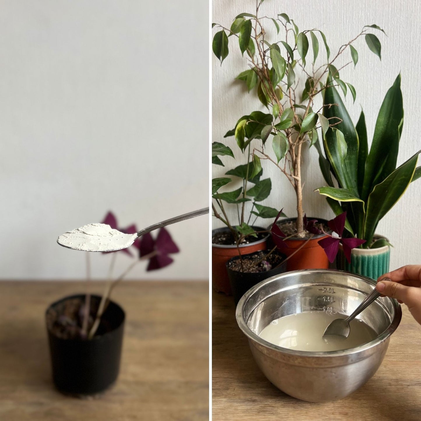 Enraizante Bio Kai Raiz 10grs