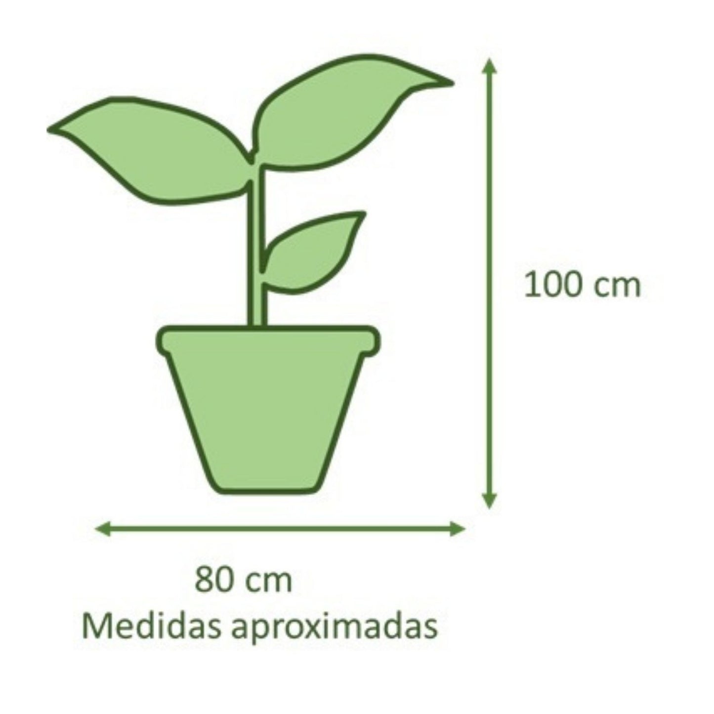 Manto De Eva con Maceta Rotomoldeado Nazca 40cm Verde