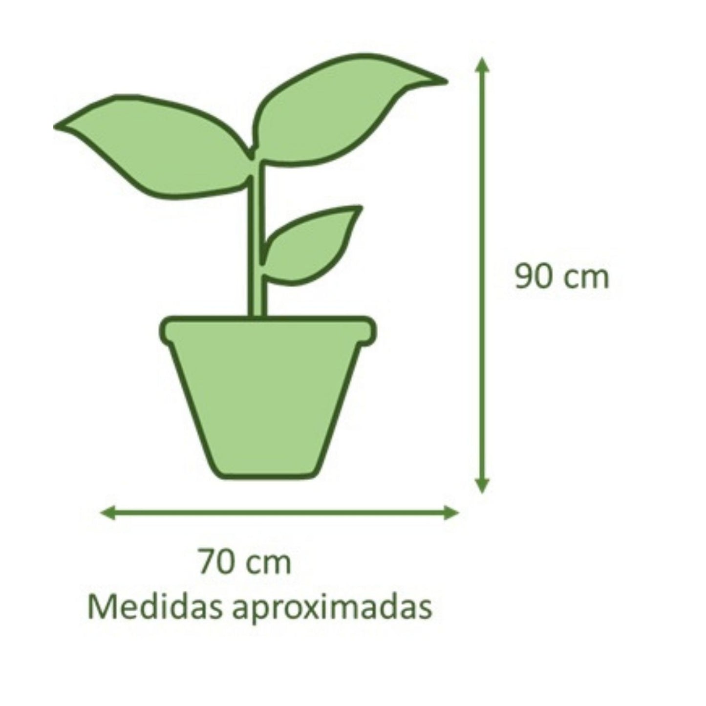Manto De Eva VegoTerra Con Maceta Rotomoldeado Javi 40cm Negro