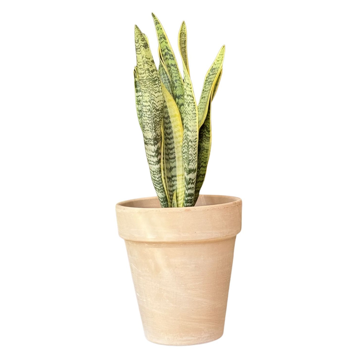 Macetero Alto Duo Terracota 24