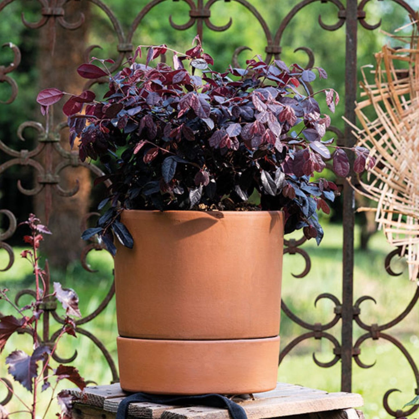 Maceta Modula Autoriego Cilíndrica 25cm