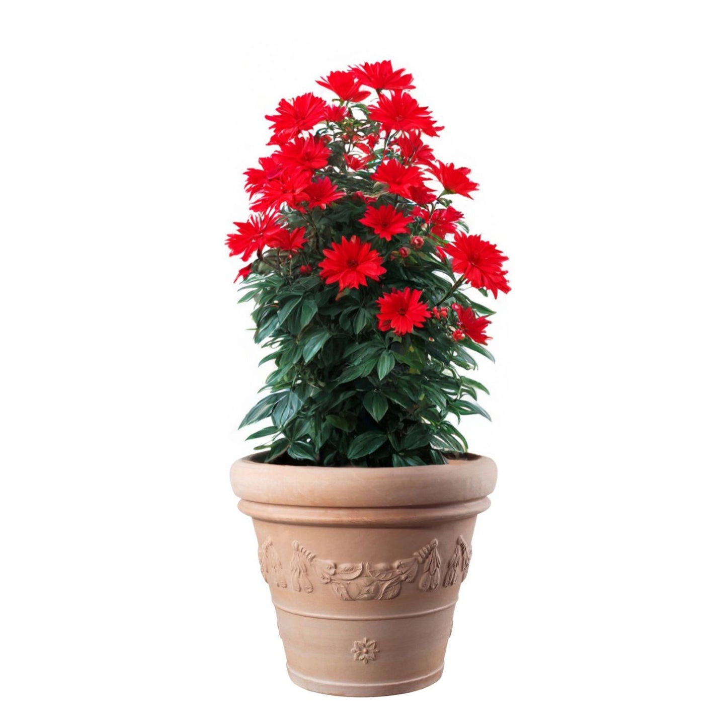 Maceta Extra Grande Toscana 80cm con Relieve Terracota