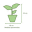 Spathiphyllum VegoTerra con Maceta Kony 19cm Azul