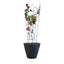 Soporte para Plantas Trepadora Mariposa