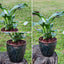 Spathiphyllum Macetero Zafiro 17cm Negro Reactivo