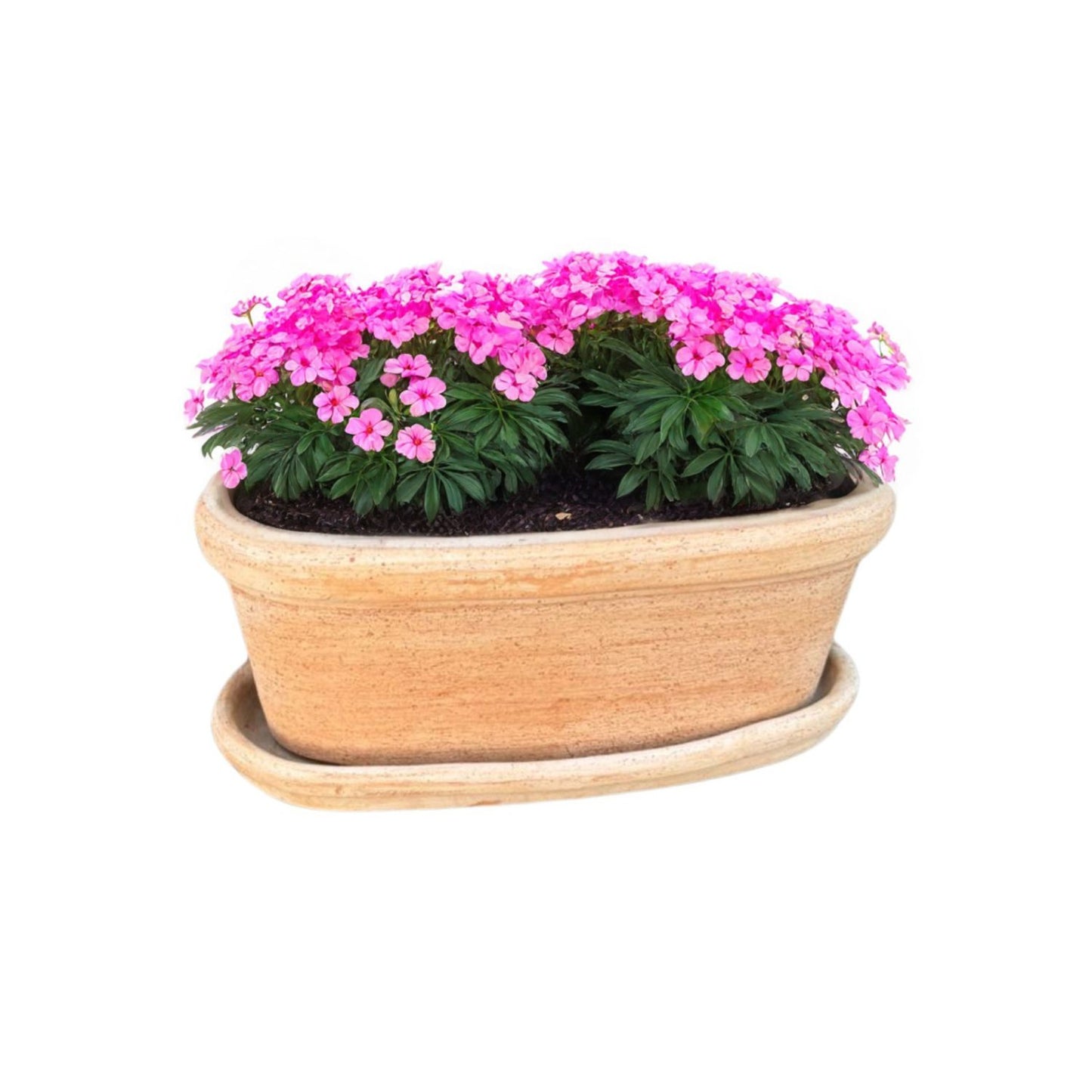 Jardinera Etrusca con Plato 35cm Ovalada Terracota