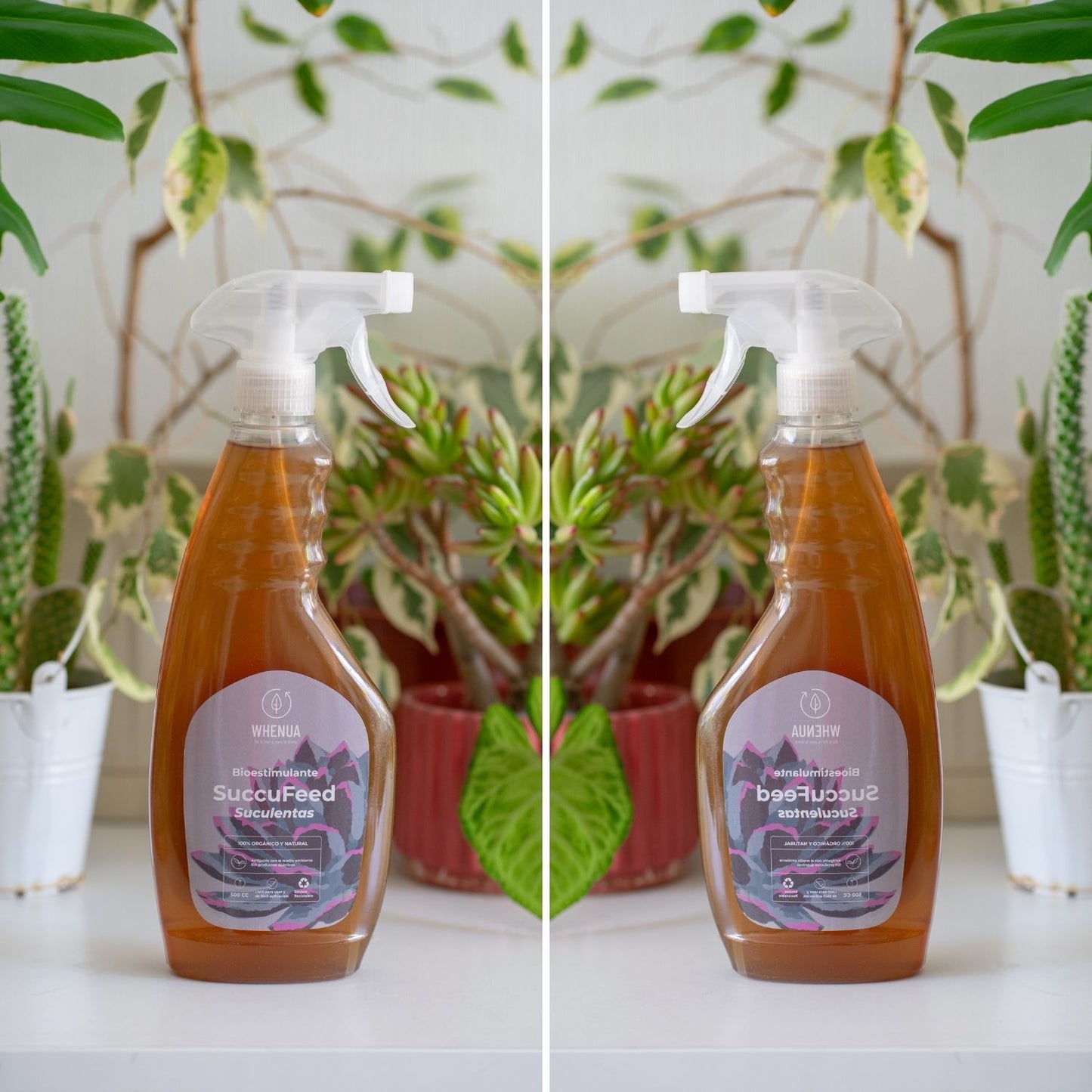 Fertilizante SuccuFeed - 500cc Spray