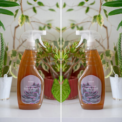 Fertilizante SuccuFeed - 500cc Spray