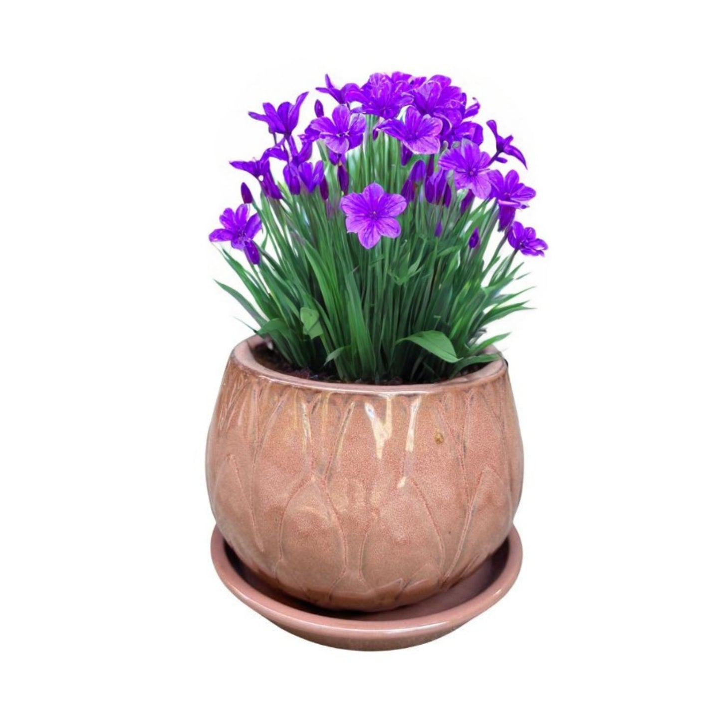 Macetero Victoria 26 con Plato