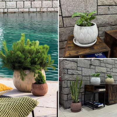 Macetero Victoria 37 con Plato