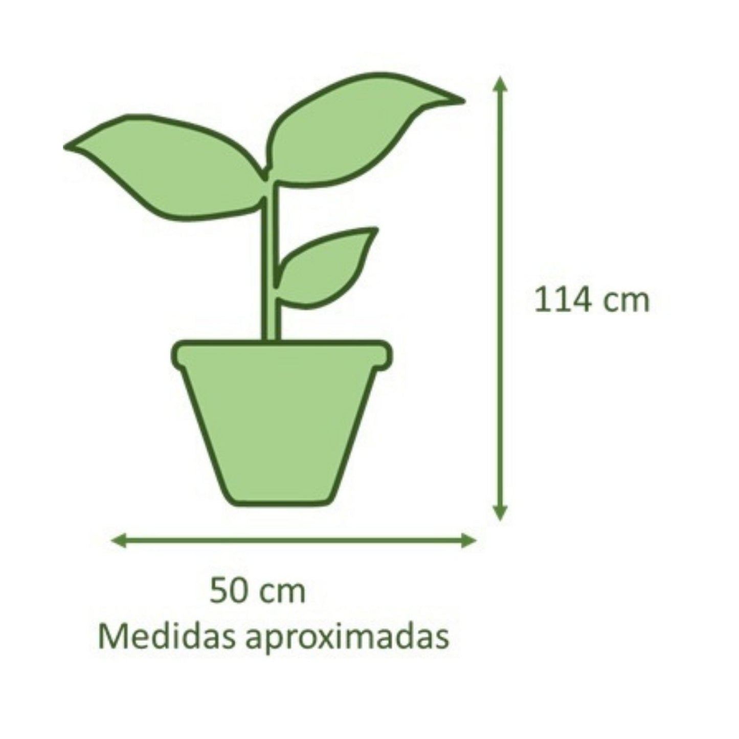 Yuca Doble con Maceta Rotomoldeada Javi 40cm Negro